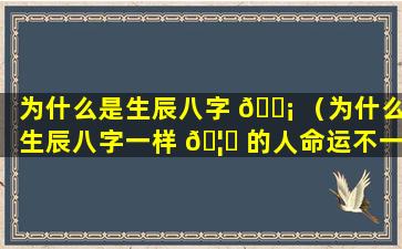 为什么是生辰八字 🐡 （为什么生辰八字一样 🦋 的人命运不一样）